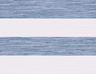 Blue-2025-04-08-115735-SR20402
