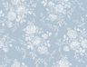 Blue-Ice-VI80702