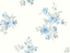 Blue-Rasberry-VI80912