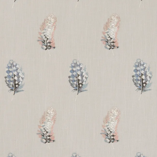Botanica – Plumis
