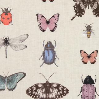Botanica – Papilio