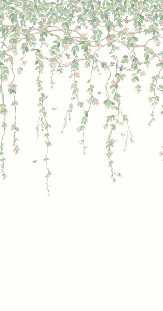 Selections of Hummingbirds – Hummingbirds Flora
