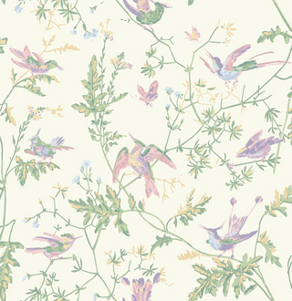 Selections of Hummingbirds - Hummingbirds