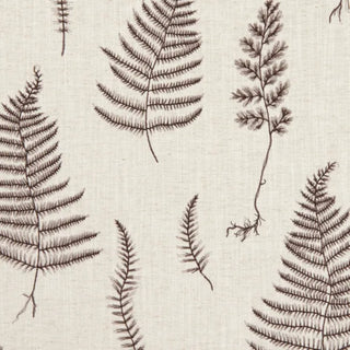 Botanica - Lorelle