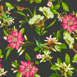 Botanical – Pink Lotus