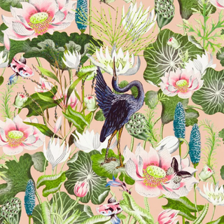 Botanical – Waterlily