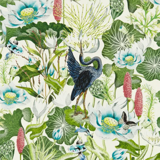 Botanical – Waterlily
