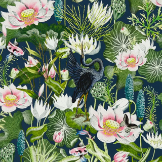 Botanical – Waterlily