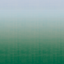 Bottle-Green-9230_78WS131