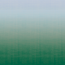 Bottle-Green-9230_78WS131