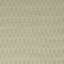 Bright-Yellow-White-REGATTA_17J9411