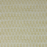 Bright-Yellow-White-REGATTA_17J9411