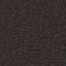 Brown-Black-SCOUT_59J9531-01