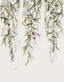 Brown-Green-Greige-Purpe-Liliac-Rose-63453