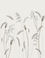Brown-Greige-Grey-Silver-Anthracite-63458