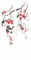 Brown-Red-Borderaux-White-Grey-63446