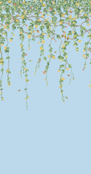 Selections of Hummingbirds – Hummingbirds Flora