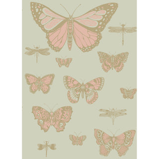 Whimsical - Butterflies & Dragonflies