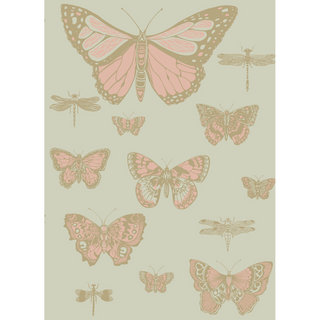 Whimsical - Butterflies & Dragonflies