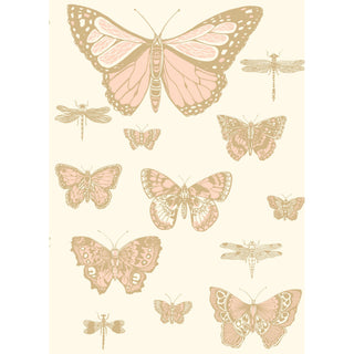 Whimsical - Butterflies & Dragonflies