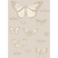 Butterflies_Dragonflies_103_15064_CS