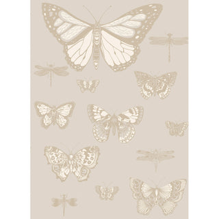 Whimsical - Butterflies & Dragonflies