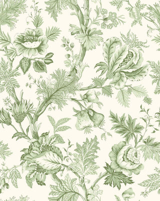 A close-up view of the Cabris wallpaper swatch from the Crown Provence collection. The pattern is a classic French Toile de Jouy, featuring winding botanical branches, large ornate blossoms, detailed leaves, and hanging pomegranates or figs. The entirely monochromatic design is rendered in shades of greens, standing out against a crisp cream background. The backdrop features a subtle linen-textured faux weave, giving this elegant print a warm, high-end fabric-like depth.