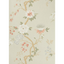 Camellia_8024_CS