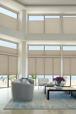 Hunter Douglas Duette® Cellular Shades