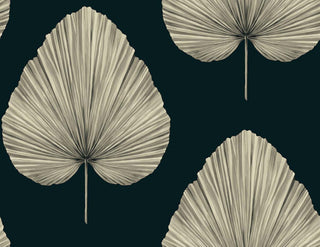 Savannah Grass -Grande Leaf