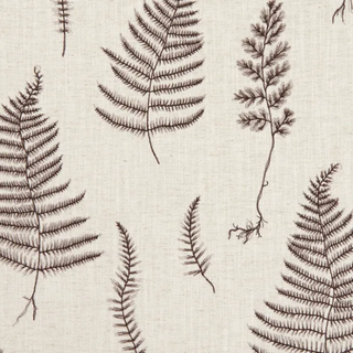 Botanica – Lorelle