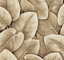Chocolate-LS60306