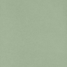 Cilantro-0018787_apollo-0915
