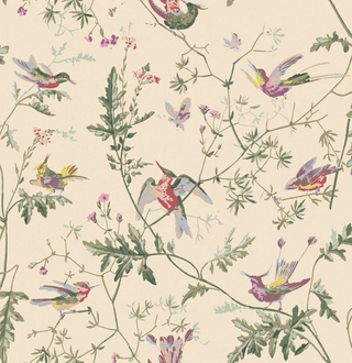 Selections of Hummingbirds - Hummingbirds