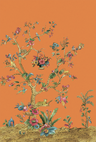 Clementine-DB31906