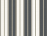 Cloudy-Gray-2025-04-08-123541-SR22300