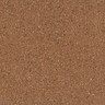 Coral-9124_24WS121