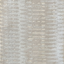 Dolphin-0018802_pavo-0431