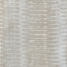Dolphin-0018802_pavo-0431