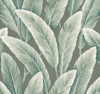 Savannah Grass -Foliage