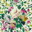 Exotica-2-Bloom-W0139_03_CAC