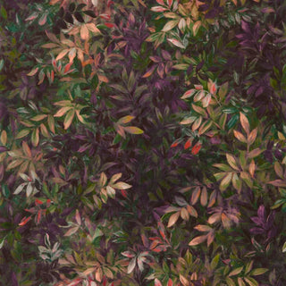 Exotica 2 – Congo