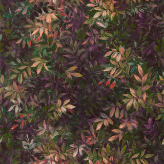 Exotica 2 – Congo