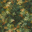 Exotica-2-Congo-W0140_02_CAC