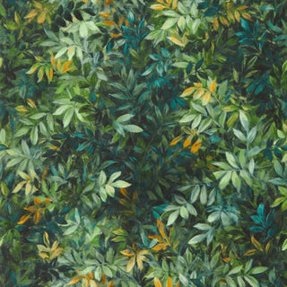 Exotica 2 – Congo