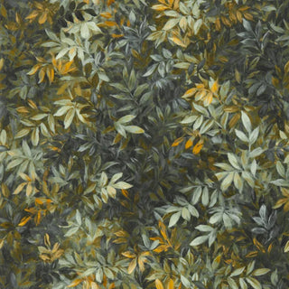 Exotica 2 – Congo