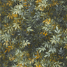 Exotica-2-Congo-W0140_04_CAC