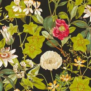 Exotica 2 – Passiflora