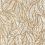 Exotica-2-Selva-W0144_01_CAC