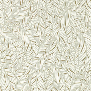 Exotica 2 – Selva